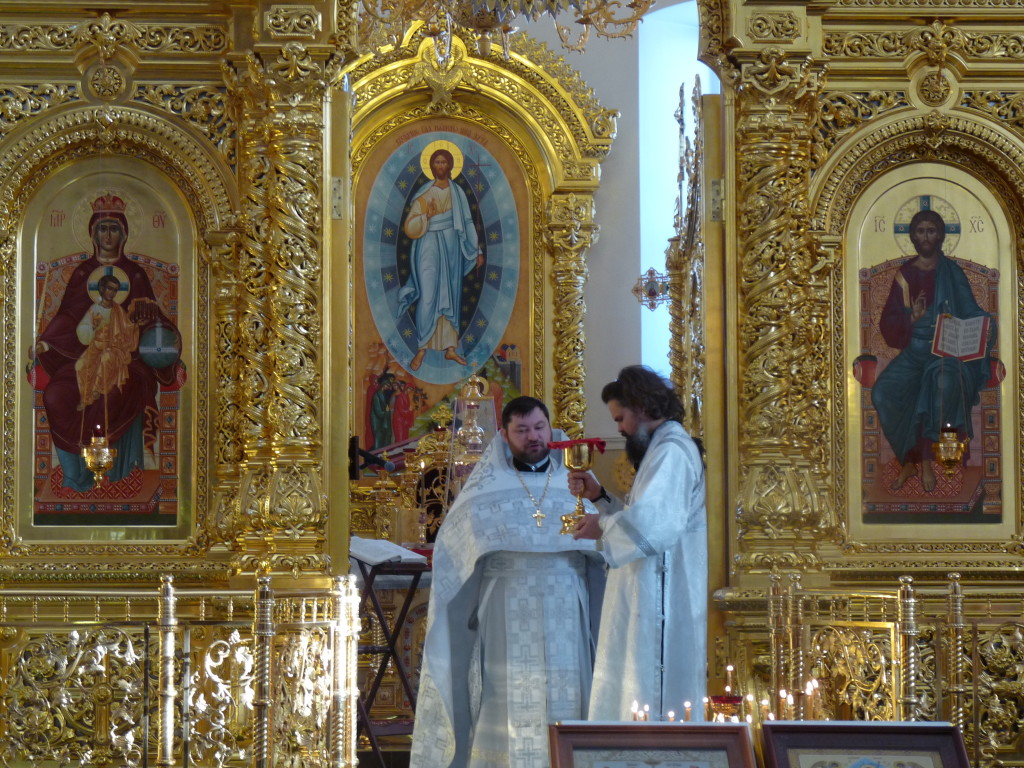 p1510696